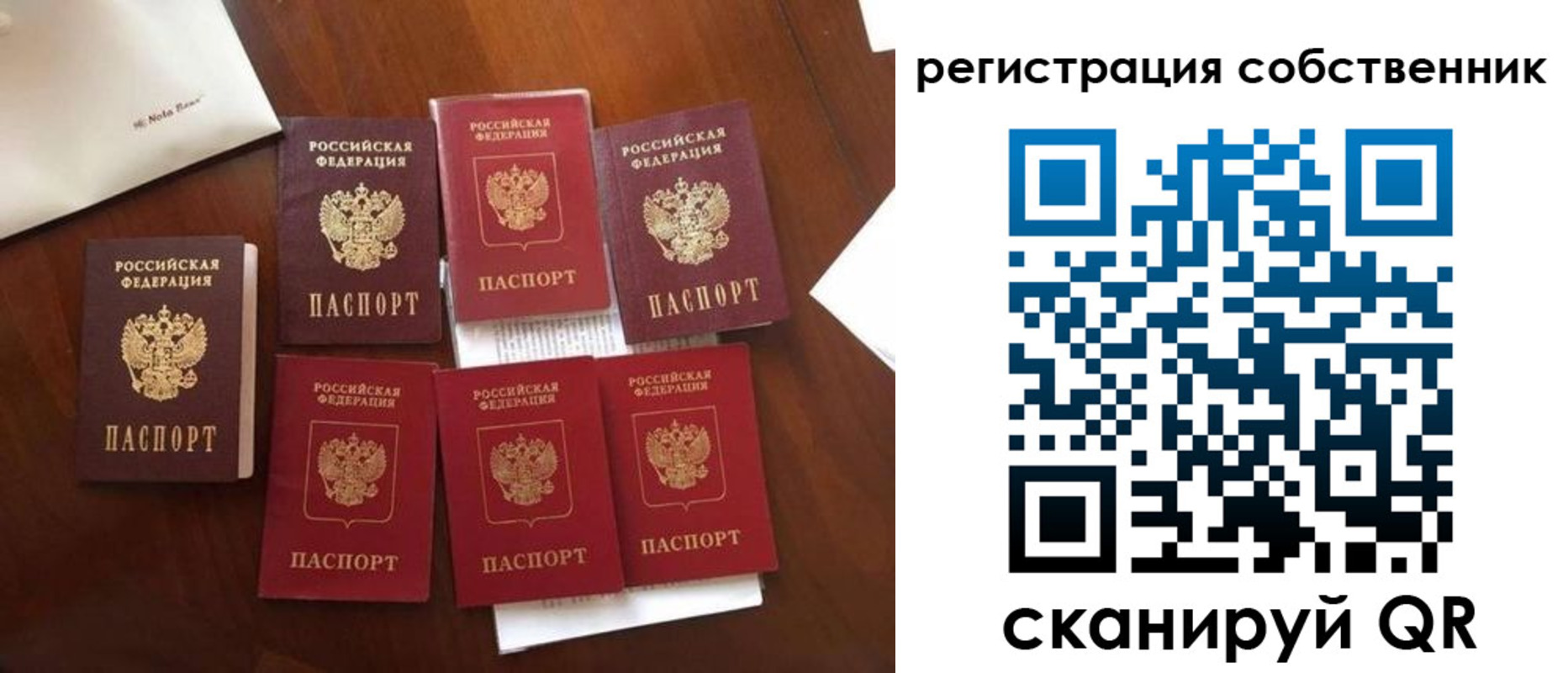 найти адрес прописки в Судогде